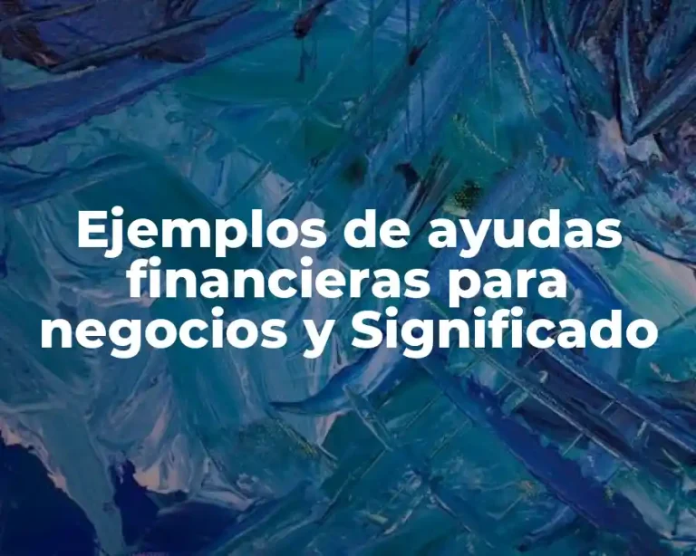 Ejemplos de ayudas financieras para negocios y Significado