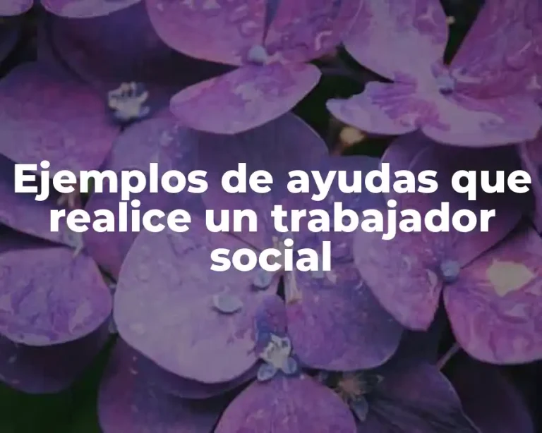 Ejemplos de ayudas que realice un trabajador social