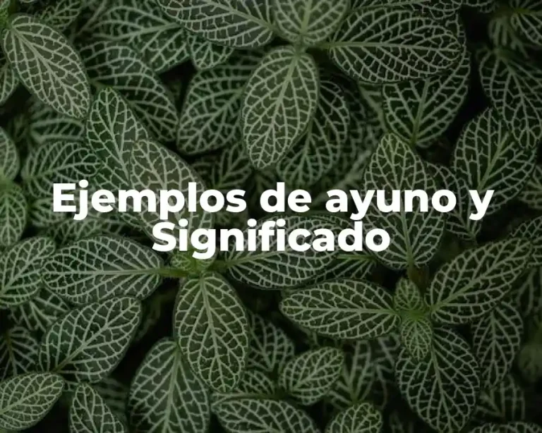 Ejemplos de ayuno y Significado