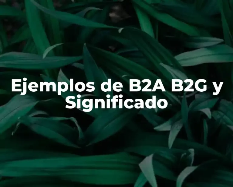 Ejemplos de B2A B2G y Significado