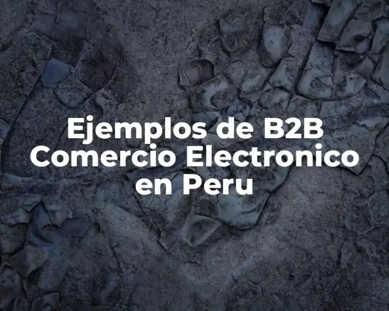 Ejemplos de B2B Comercio Electronico en Peru