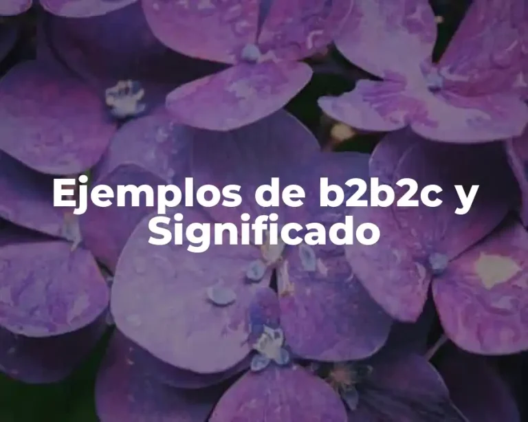 Ejemplos de b2b2c y Significado