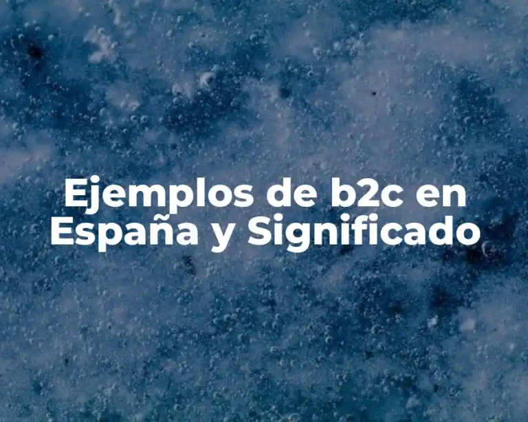 Ejemplos de b2c en España y Significado