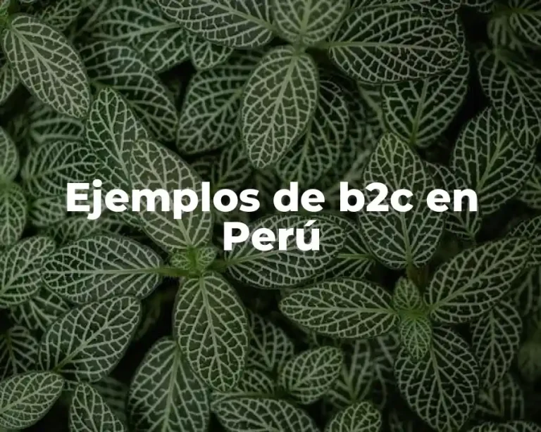 Ejemplos de b2c en Perú