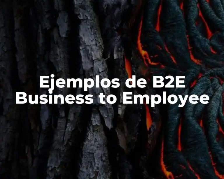 Ejemplos de B2E Business to Employee