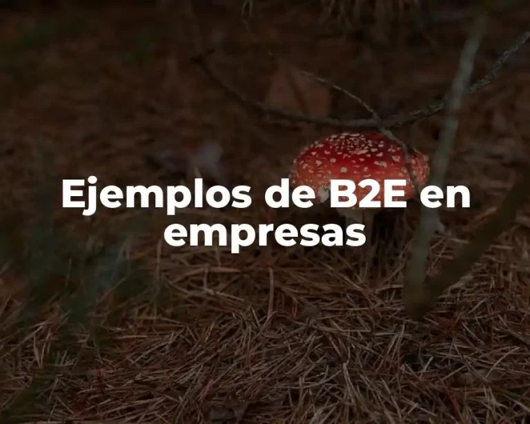 Ejemplos de B2E en empresas