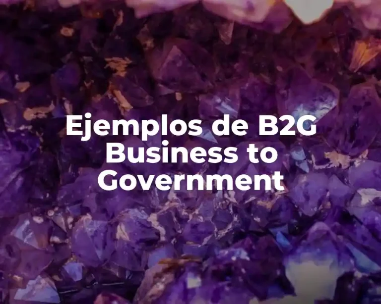 Ejemplos de B2G Business to Government