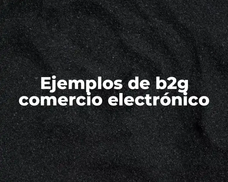 Ejemplos de b2g comercio electrónico