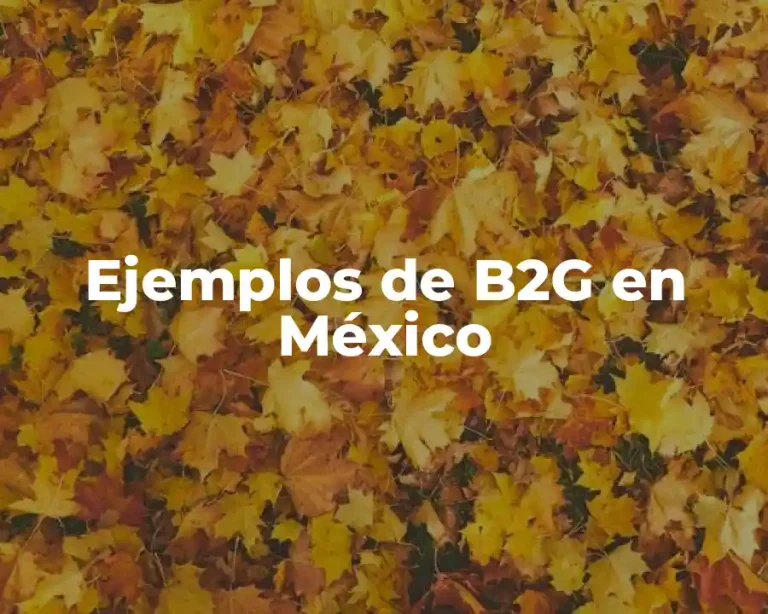 Ejemplos de B2G en México