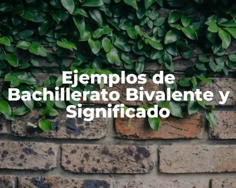 Ejemplos de Bachillerato Bivalente y Significado