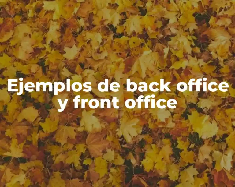 Ejemplos de back office y front office