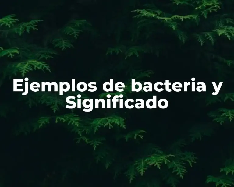 Ejemplos de bacteria y Significado
