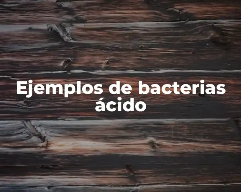 Ejemplos de bacterias ácido