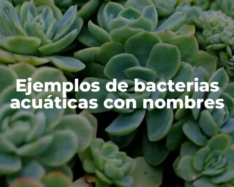 Ejemplos de bacterias acuáticas con nombres