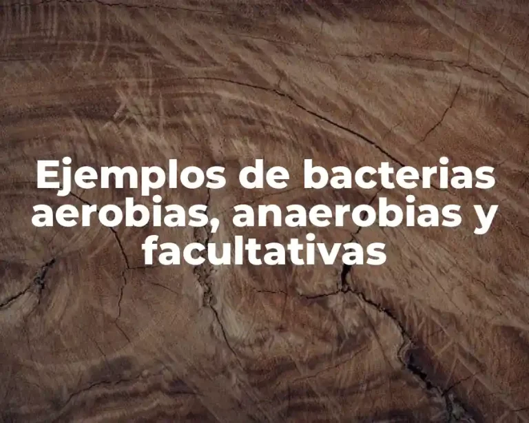 Ejemplos de bacterias aerobias, anaerobias y facultativas