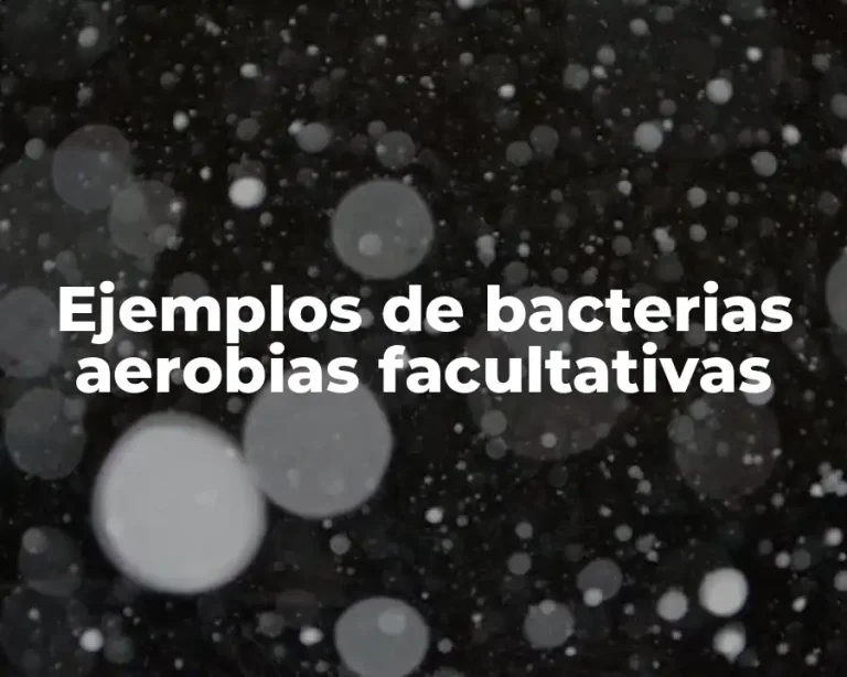 Ejemplos de bacterias aerobias facultativas