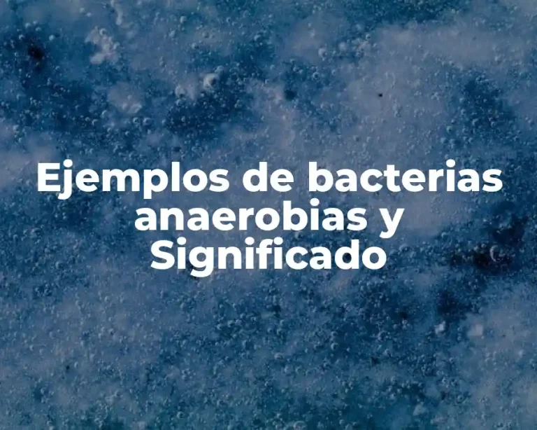 Ejemplos de bacterias anaerobias y Significado