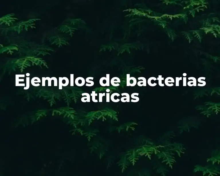 Ejemplos de bacterias atricas