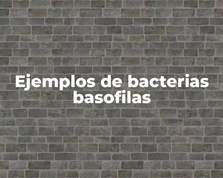 Ejemplos de bacterias basofilas