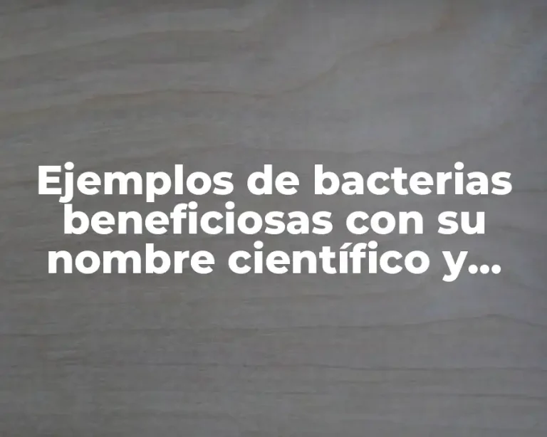 Ejemplos de bacterias beneficiosas con su nombre científico y Significado