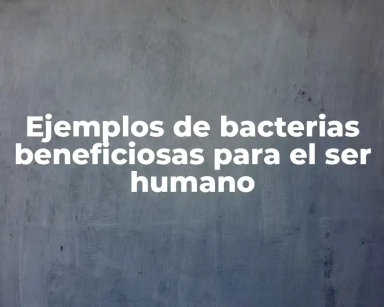 Ejemplos de bacterias beneficiosas para el ser humano
