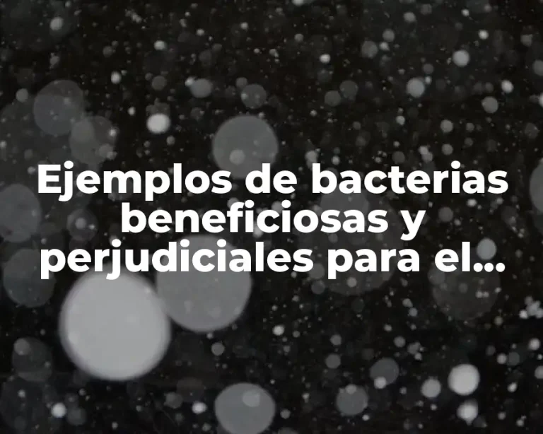 Ejemplos de bacterias beneficiosas y perjudiciales para el hombre