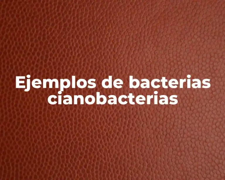 Ejemplos de bacterias cianobacterias