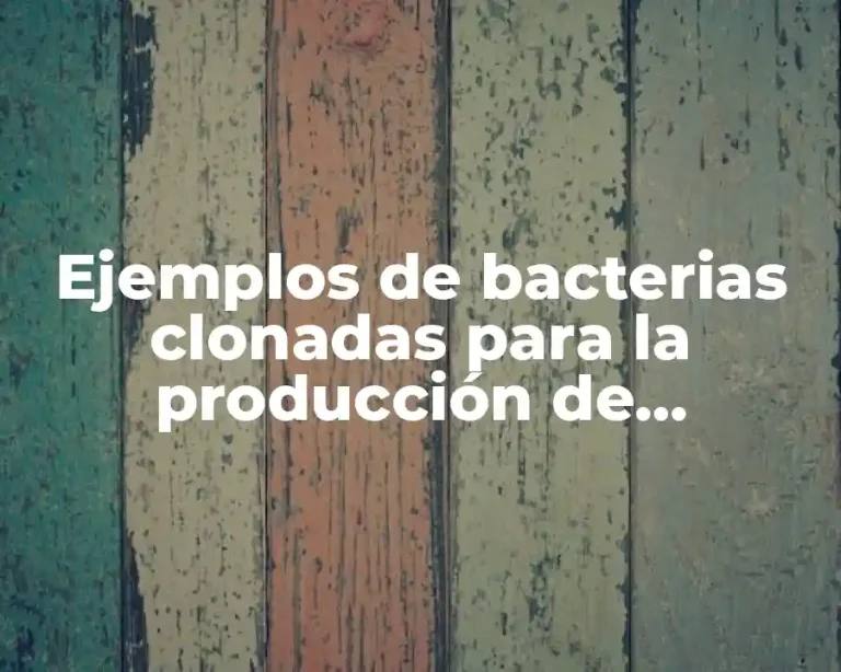 Ejemplos de bacterias clonadas para la producción de proteínas