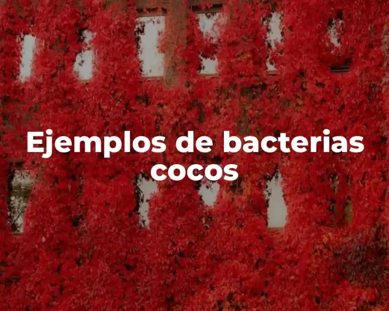 Ejemplos de bacterias cocos