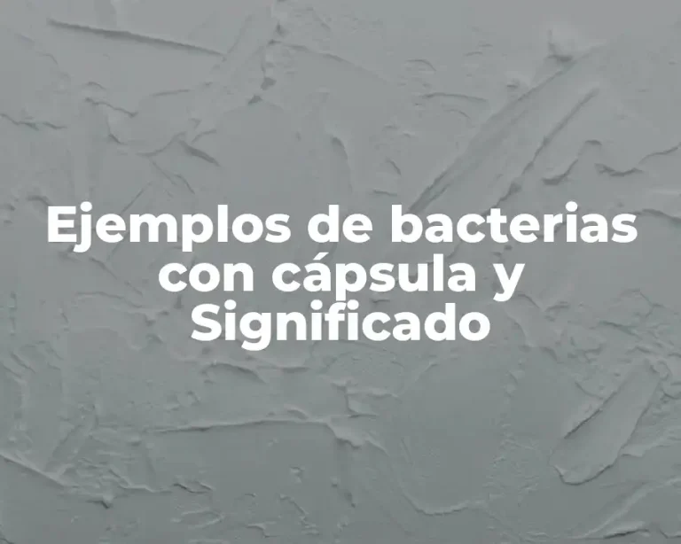 Ejemplos de bacterias con cápsula y Significado