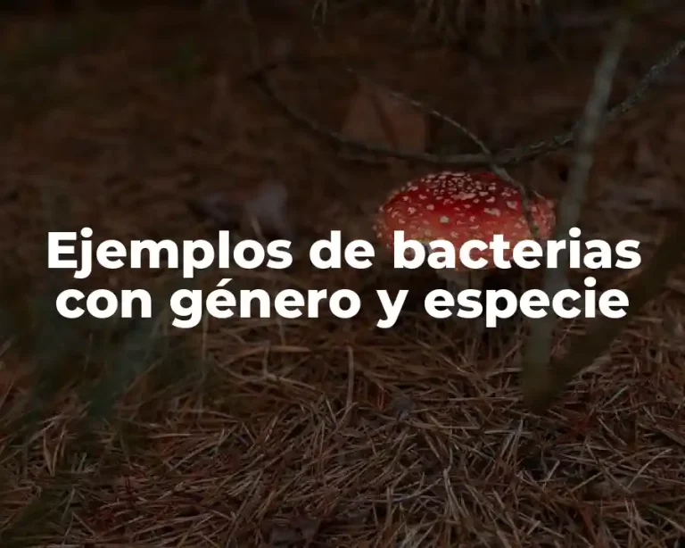 Ejemplos de bacterias con género y especie