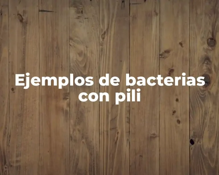 Ejemplos de bacterias con pili