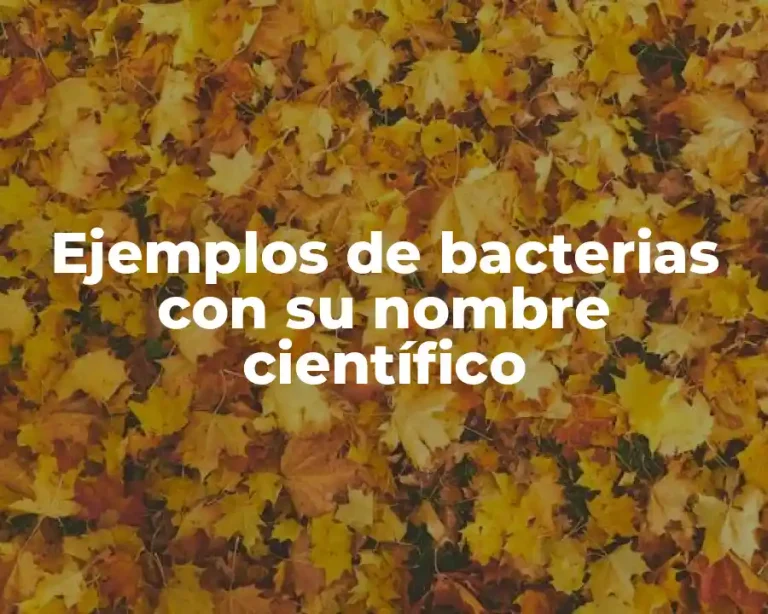 Ejemplos de bacterias con su nombre científico