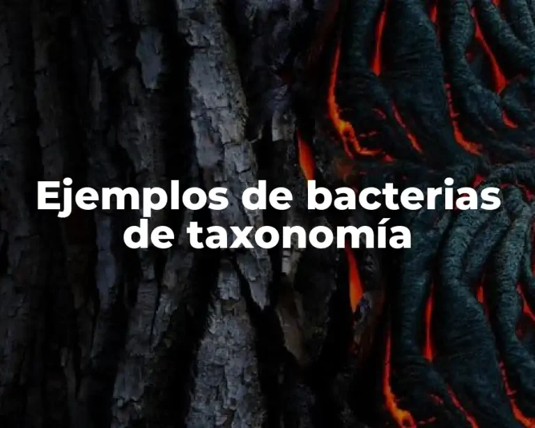 Ejemplos de bacterias de taxonomía