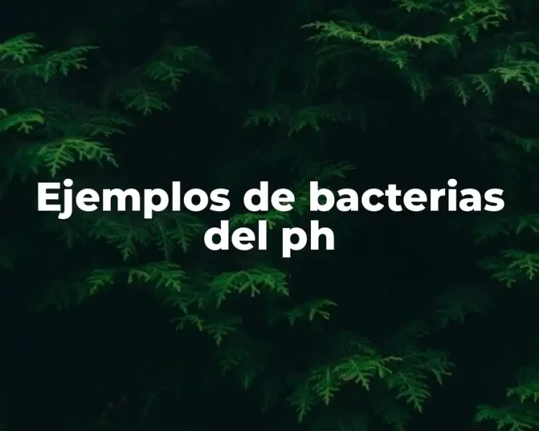 Ejemplos de bacterias del ph