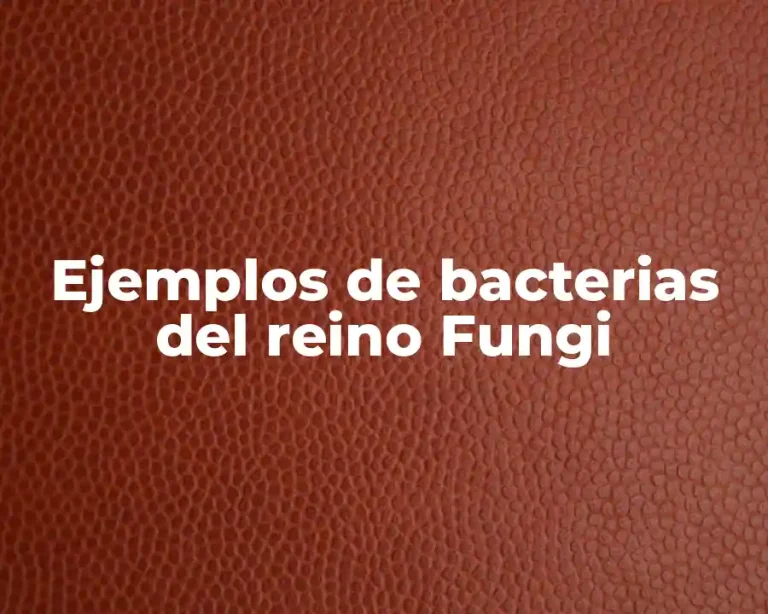 Ejemplos de bacterias del reino Fungi