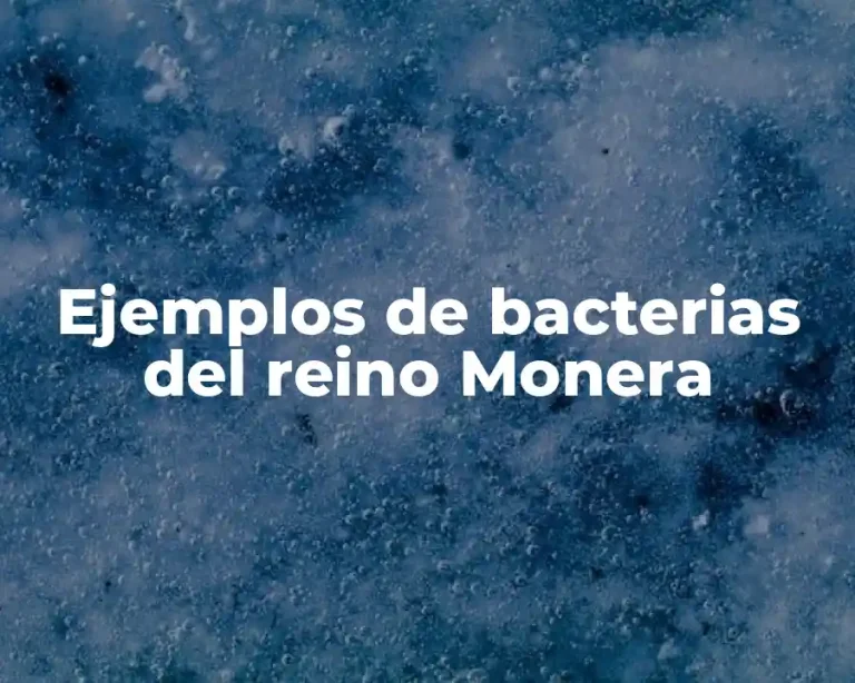 Ejemplos de bacterias del reino Monera