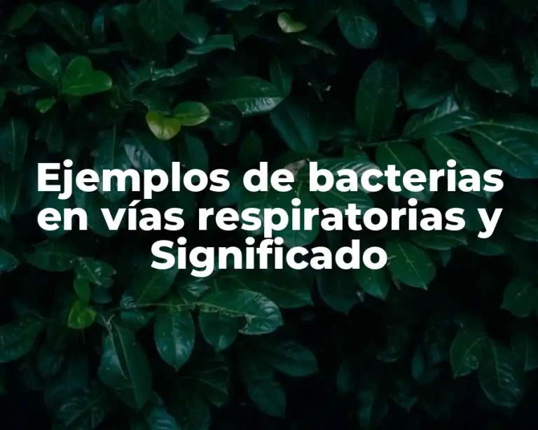 Ejemplos de bacterias en vías respiratorias y Significado