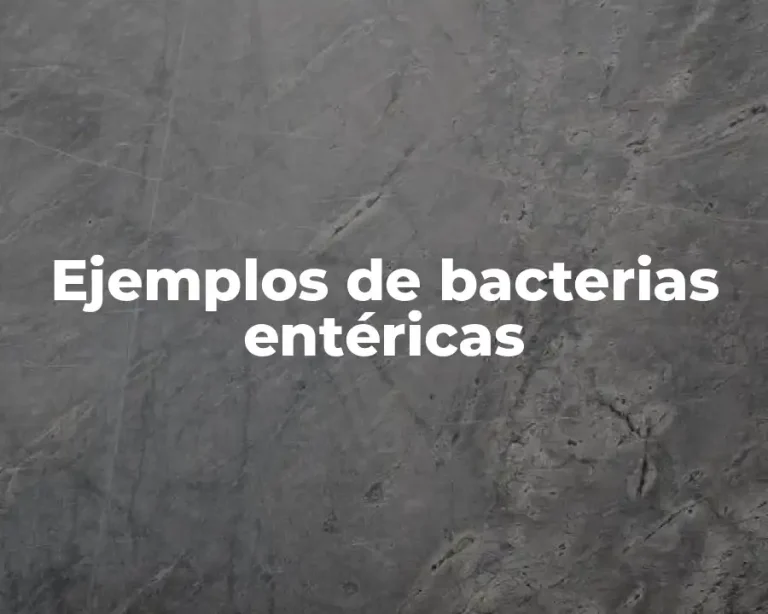 Ejemplos de bacterias entéricas