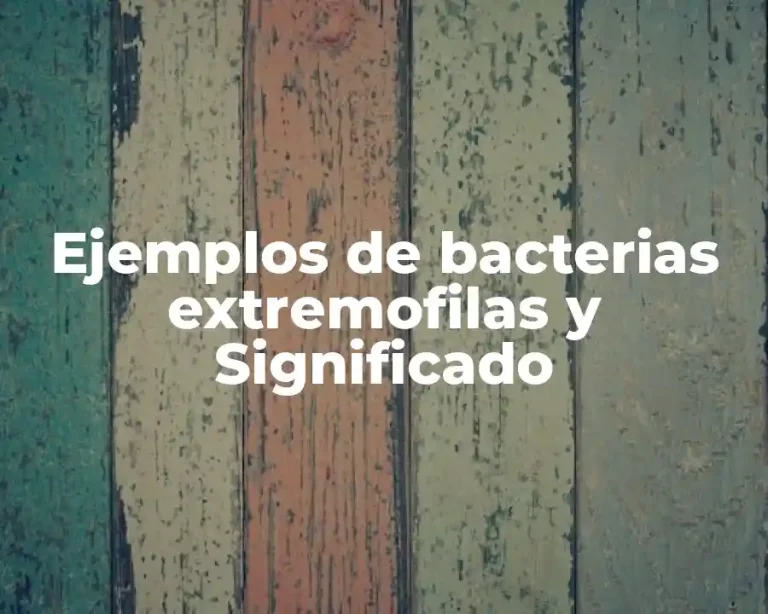 Ejemplos de bacterias extremofilas y Significado