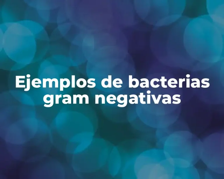Ejemplos de bacterias gram negativas