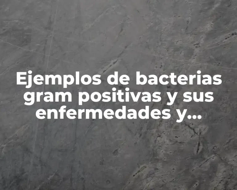 Ejemplos de bacterias gram positivas y sus enfermedades y Significado