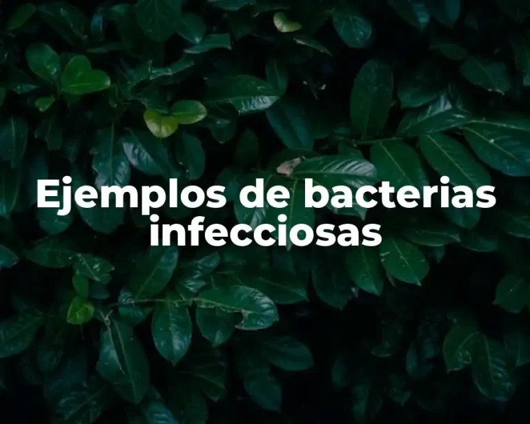 Ejemplos de bacterias infecciosas