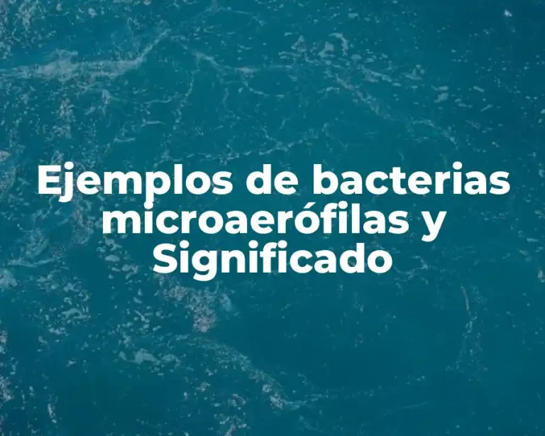 Ejemplos de bacterias microaerófilas y Significado