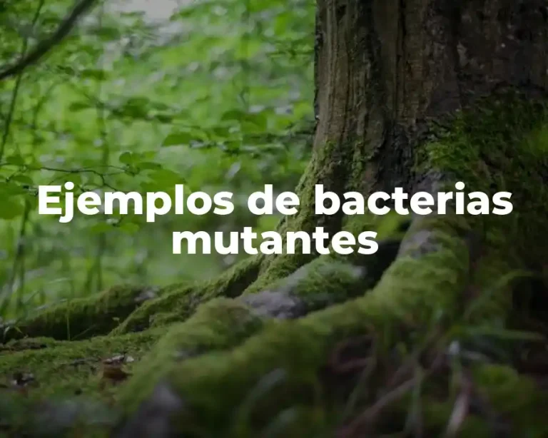 Ejemplos de bacterias mutantes