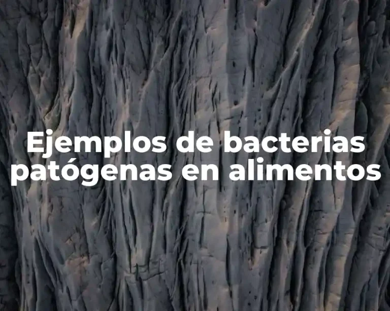 Ejemplos de bacterias patógenas en alimentos
