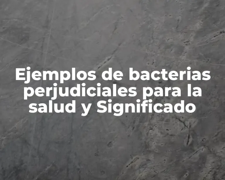 Ejemplos de bacterias perjudiciales para la salud y Significado