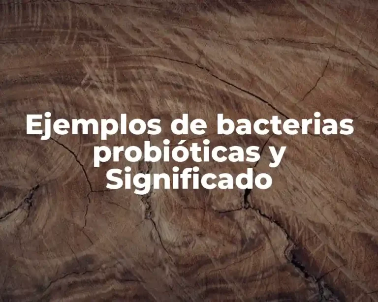 Ejemplos de bacterias probióticas y Significado