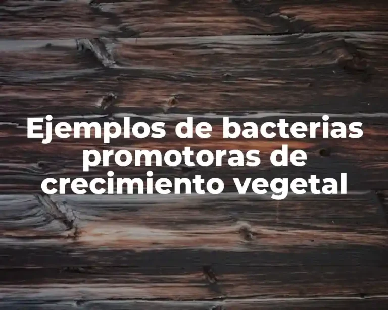 Ejemplos de bacterias promotoras de crecimiento vegetal