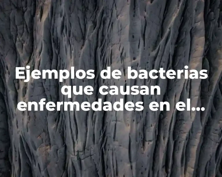Ejemplos de bacterias que causan enfermedades en el hombre